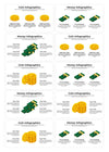 Currency Infographics Presentation Slides